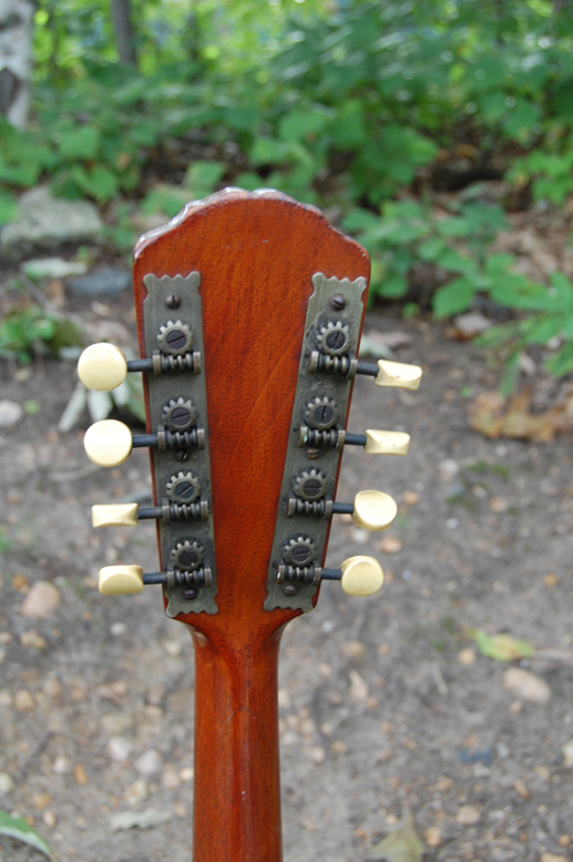 1906 Gibson Mandolin