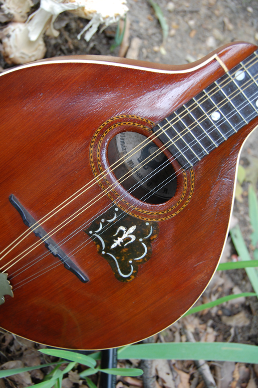 1906 Gibson Mandolin