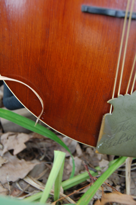 1906 Gibson Mandolin