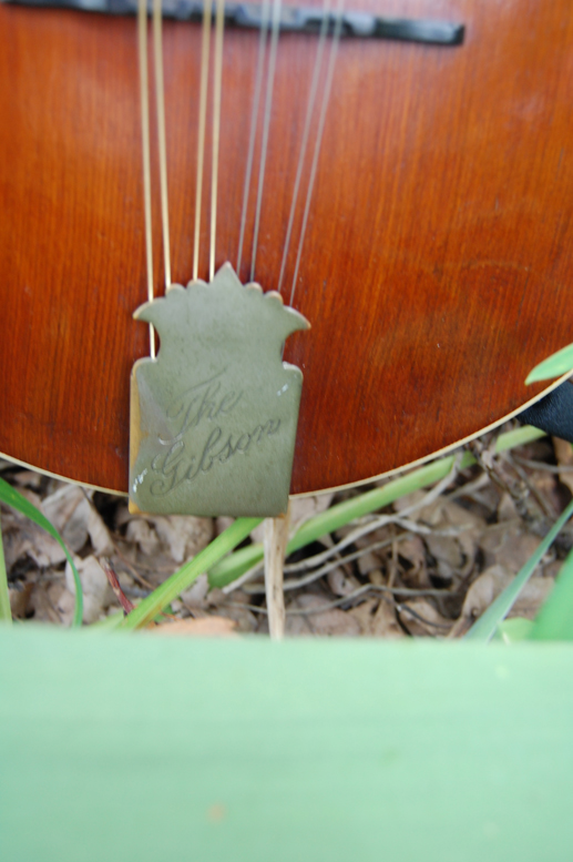 1906 Gibson Mandolin