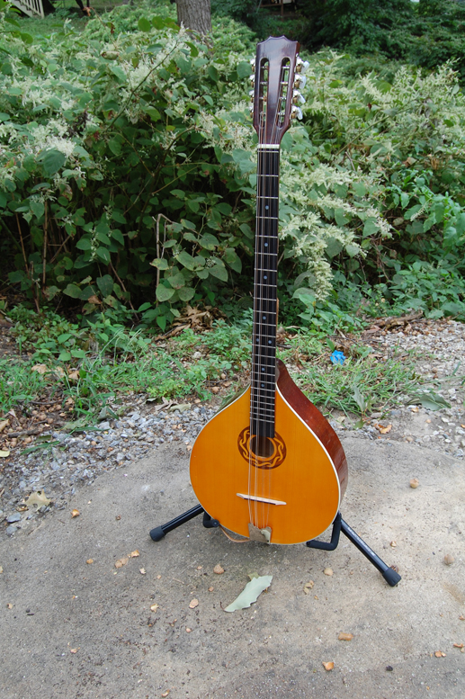 Bouzouki